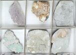 Mixed Indian Mineral & Crystal Flat - Pieces #95601-1